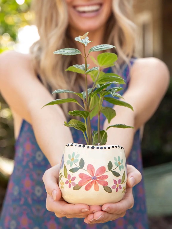 Planter Give Happy Floral and other Wholesale cactus for your store trending on Faire.